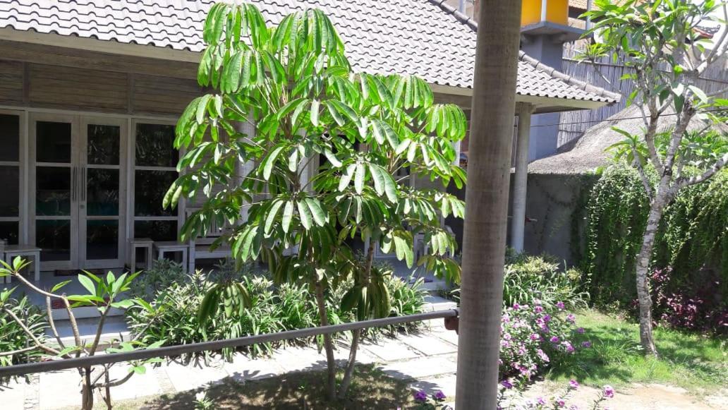 Vista Huts Lembongan Hotel Exterior photo